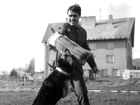Foto 6